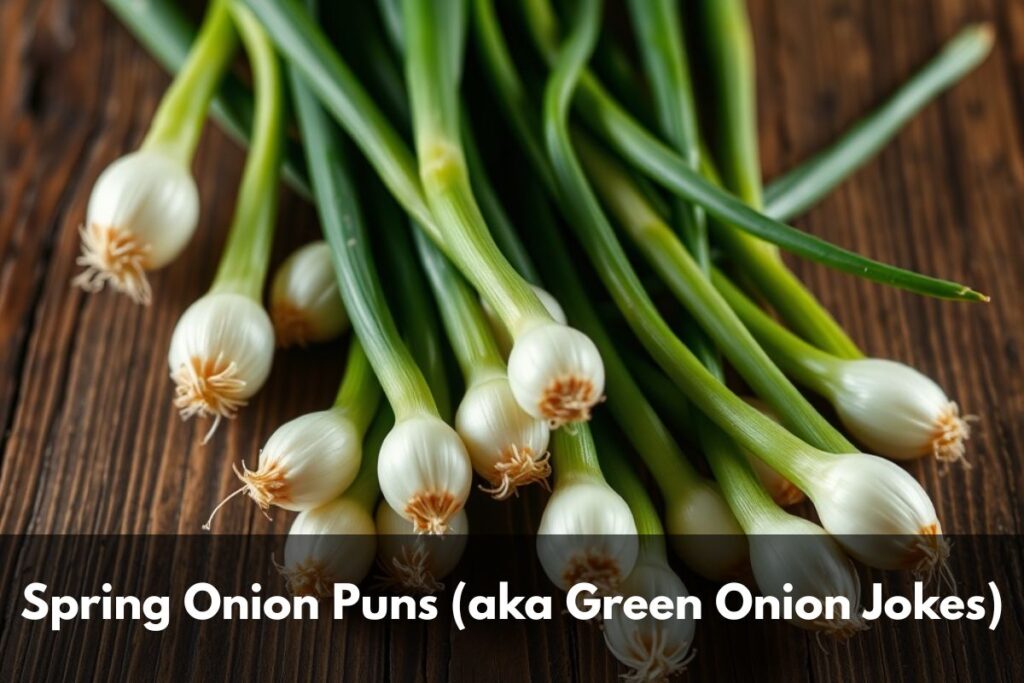 Spring Onion Puns (aka Green Onion Jokes)